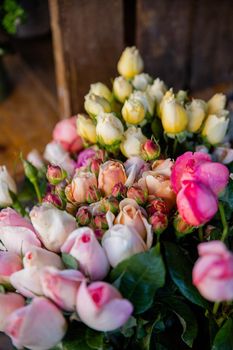 Pink and yellow roses and begonias without blooming with a blurry background. Display of radiant flowers for sale in store. Houseplants and nature