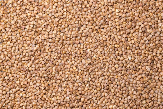 buckwheat seeds close-up for the whole frame. High quality photo