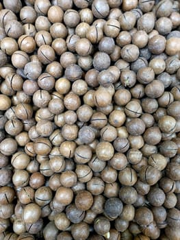 Exotic macadamia nut grown in Australia. Macadamia nut background, full frame. High quality photo