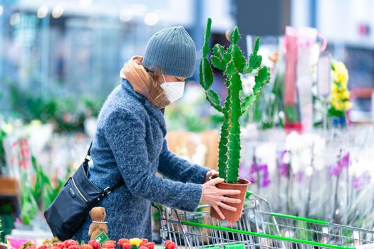 buying a cactus in a flowerpot at the store.