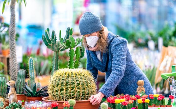 buying a cactus in a flowerpot at the store.