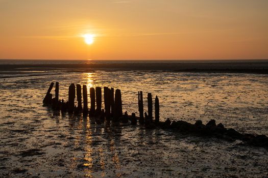 Panoramic image of the coastal landscape of Amrum at sunrise, North Sea, Germany
