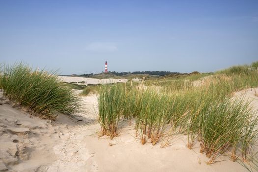 Panoramic image of the dunes of Amrum with the lighthouse, Germany