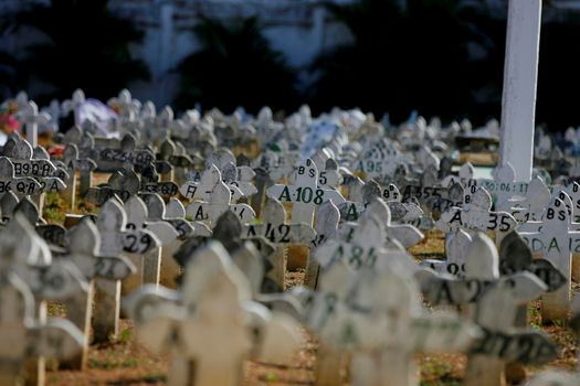 salvador, bahia / brazil - march 1, 2018: graves are seen in the municipal cemetery of the Brotas neighborhood in the city of Salvador.


