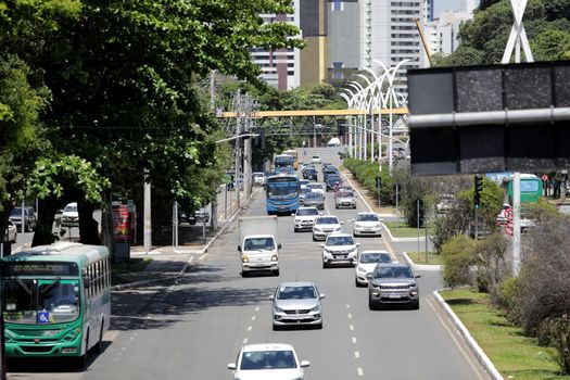 salvador, bahia / brazil - october 30, 2019: Vehicles traffic on tree-lined street on Avenida ACM in the neighborhood of Salvador.