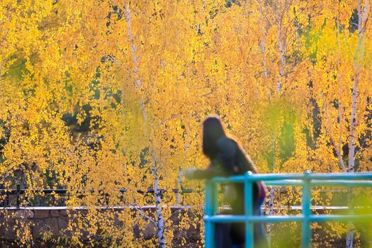 The girl in the park looks at the yellow autumn leaves. Autumn time