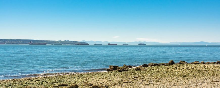 Seagoing vessels passing a harbor. Ship traffic from a port. Congestion of shipping