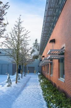 Snowed pathway along the brick wall of office building. Winter trees and small hedge along the wall of the office building