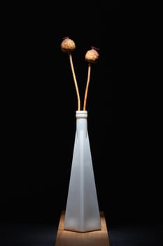 White vase with dry poppy heads on the wooden table in the dark room. Home decoration,