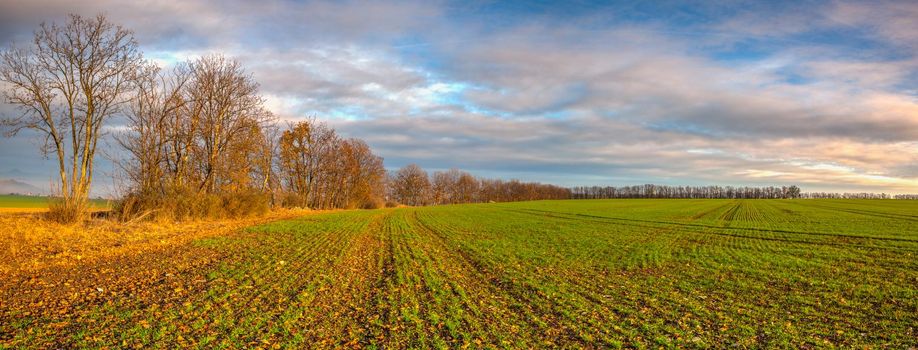 Autumn morning landscape over the city of Louny. Autumn sown field at amazing sunrise. Czech Republic. Panorama image.