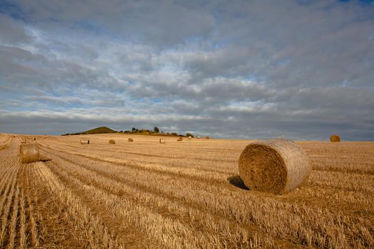 Straw bales on a stubble in Central Bohemian Uplands, Czech Republic. Field landscape bales of straw on a farm field