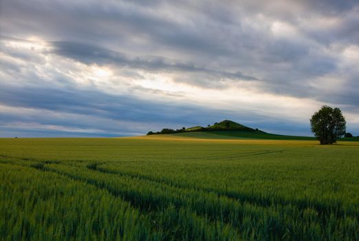 Scenery in Central Bohemian Highlands, Czech Republic. Central Bohemian Uplands  is a mountain range located in northern Bohemia. The range is about 80 km long