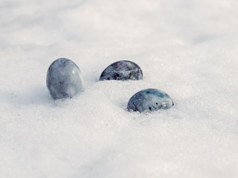 Painted chicken eggs on white snow on spring day.