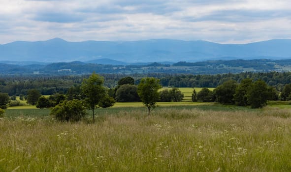 Big green fields of wheat trees and bushes in Kaczawskie mountains at cloudy day