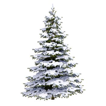 Snow Covered Christmas Tree on White Background, Christmas-tree Background,  Noel Tree, New Year and Happy Holidays Celebrations,  Snow Tree Isolated