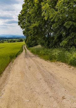 Long path with bushes and fields around in Kaczawskie mountains