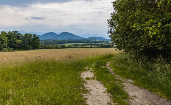 Long path with bushes and fields around in Kaczawskie mountains