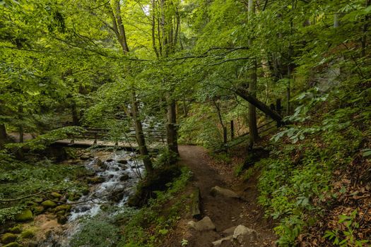 Small stony waterfall next to mountain trail in Giant Mountains