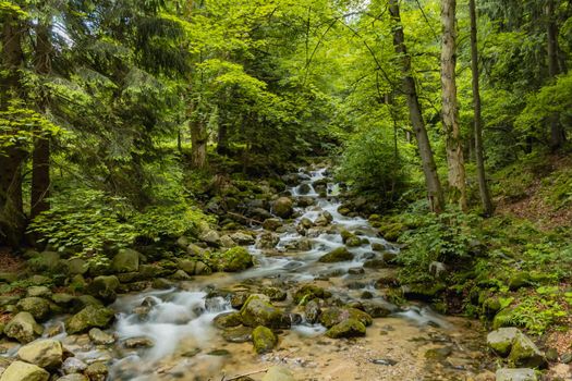 Small stony waterfall next to mountain trail in Giant Mountains