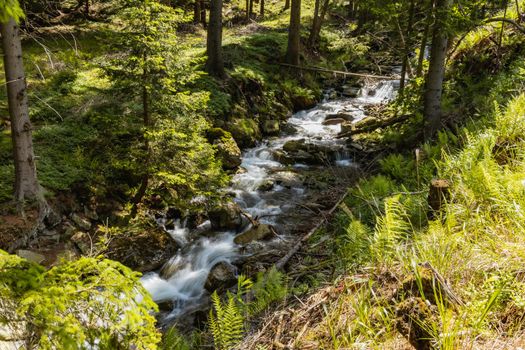 Small stony waterfall next to mountain trail in Giant Mountains