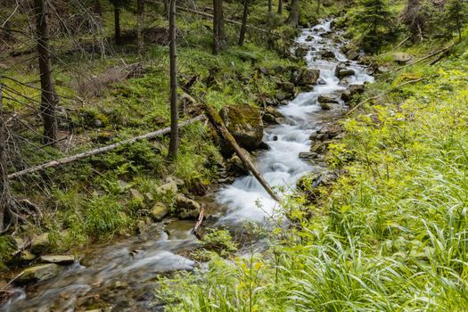 Small stony waterfall next to mountain trail in Giant Mountains