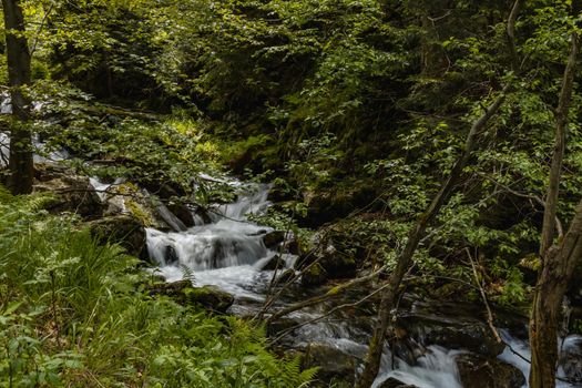 Small stony waterfall next to mountain trail in Giant Mountains