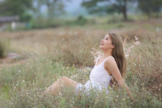 A beautiful woman with long hair in a dress sitting on a meadow and flowers in the evening light.