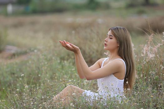 A beautiful woman with long hair in a dress sitting on a meadow and flowers in the evening light.