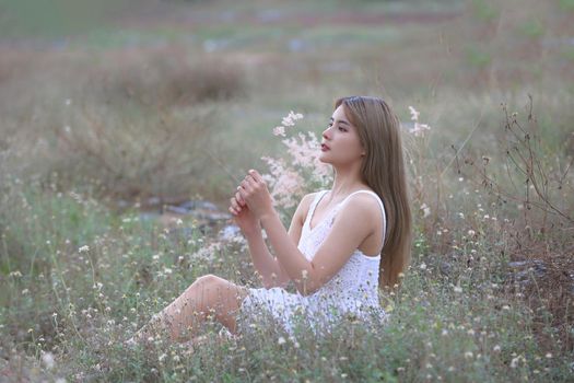 A beautiful woman with long hair in a dress sitting on a meadow and flowers in the evening light.