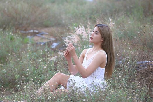 A beautiful woman with long hair in a dress sitting on a meadow and flowers in the evening light.