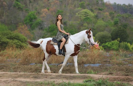 Women on skirt dress Riding Horses On field landscape Against Sky During Sunset