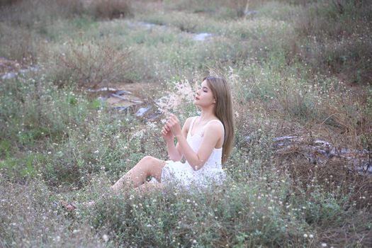 A beautiful woman with long hair in a dress sitting on a meadow and flowers in the evening light.