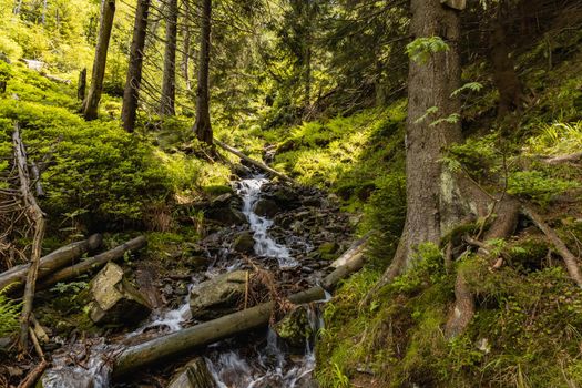 Small stony waterfall next to mountain trail in Giant Mountains