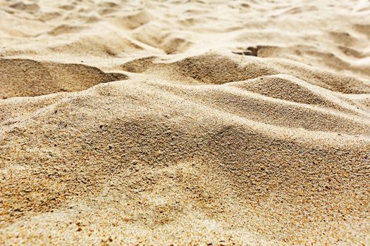 Sand dunes in the desert or on the beach in close-up in the deep sun