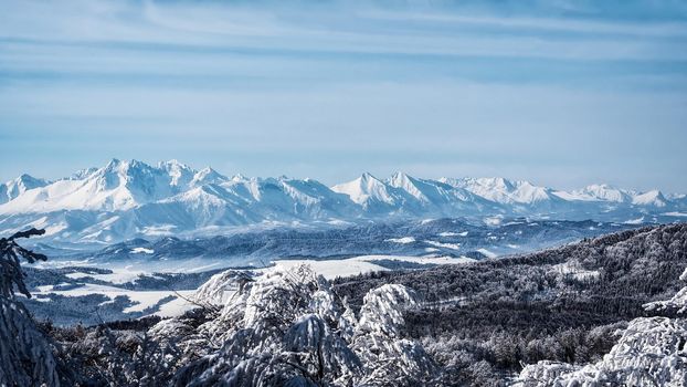 Picturesque panorama of the High Tatra Mountains in Slovakia. View from the top of the Jaworzyna Krynicka Mountain in Poland.