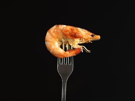 The king's shrimp on the fork, a close-up black background. High quality photo