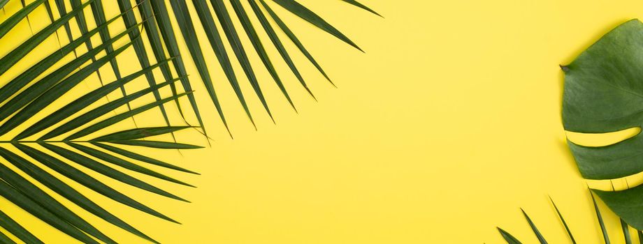 Top view of tropical palm leaves branch isolated on bright yellow background with copy space.