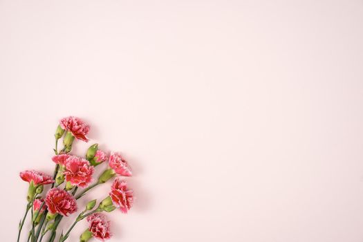 Design concept of Mother's day holiday greeting design with carnation bouquet on pastel pink table background
