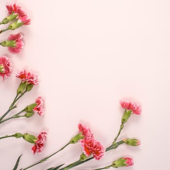 Design concept of Mother's day holiday greeting design with carnation bouquet on pastel pink table background