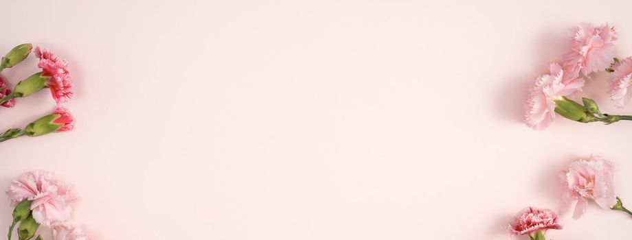 Design concept of Mother's day holiday greeting design with carnation bouquet on pastel pink table background