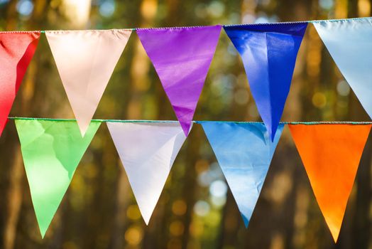 Carnival Garland with Flags, Decorative Party Pennants for Birthday Celebration, Festival and Fair Decoration, Hanging Flags, Bunting Flags ,Triangle Fabrics Hanging on the Rope, Bunting Background