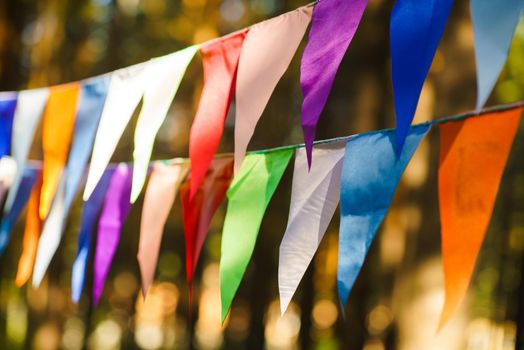 Carnival Garland with Flags, Decorative Party Pennants for Birthday Celebration, Festival and Fair Decoration, Hanging Flags, Bunting Flags ,Triangle Fabrics Hanging on the Rope, Bunting Background