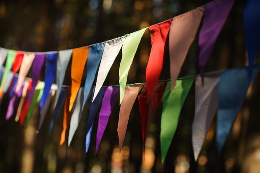 Carnival Garland with Flags, Decorative Party Pennants for Birthday Celebration, Festival and Fair Decoration, Hanging Flags, Bunting Flags ,Triangle Fabrics Hanging on the Rope, Bunting Background