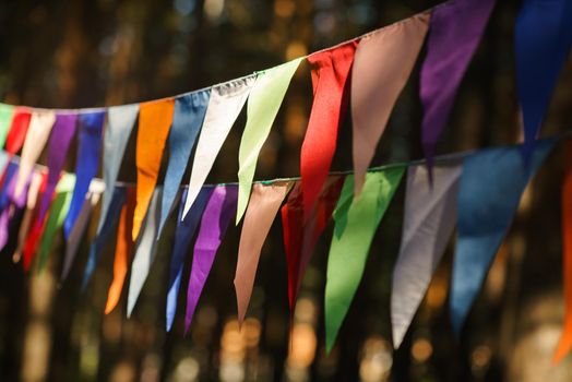 Carnival Garland with Flags, Decorative Party Pennants for Birthday Celebration, Festival and Fair Decoration, Hanging Flags, Bunting Flags ,Triangle Fabrics Hanging on the Rope, Bunting Background