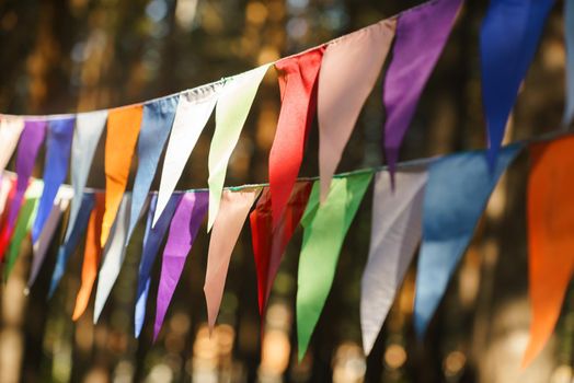 Carnival Garland with Flags, Decorative Party Pennants for Birthday Celebration, Festival and Fair Decoration, Hanging Flags, Bunting Flags ,Triangle Fabrics Hanging on the Rope, Bunting Background