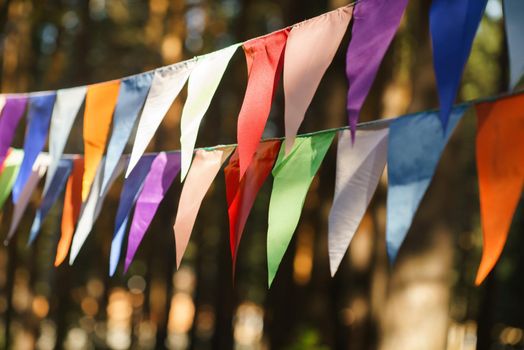 Carnival Garland with Flags, Decorative Party Pennants for Birthday Celebration, Festival and Fair Decoration, Hanging Flags, Bunting Flags ,Triangle Fabrics Hanging on the Rope, Bunting Background