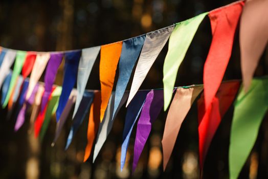 Carnival Garland with Flags, Decorative Party Pennants for Birthday Celebration, Festival and Fair Decoration, Hanging Flags, Bunting Flags ,Triangle Fabrics Hanging on the Rope, Bunting Background