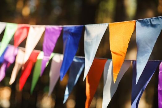 Carnival Garland with Flags, Decorative Party Pennants for Birthday Celebration, Festival and Fair Decoration, Hanging Flags, Bunting Flags ,Triangle Fabrics Hanging on the Rope, Bunting Background