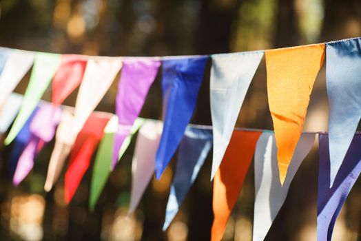 Carnival Garland with Flags, Decorative Party Pennants for Birthday Celebration, Festival and Fair Decoration, Hanging Flags, Bunting Flags ,Triangle Fabrics Hanging on the Rope, Bunting Background