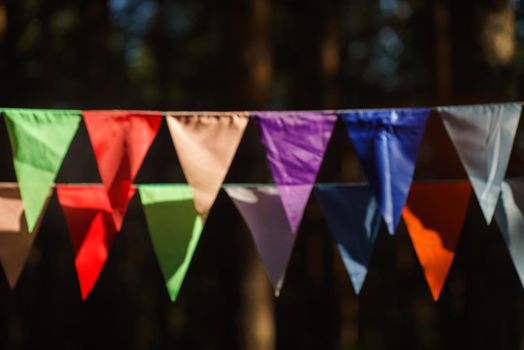 Carnival Garland with Flags, Decorative Party Pennants for Birthday Celebration, Festival and Fair Decoration, Hanging Flags, Bunting Flags ,Triangle Fabrics Hanging on the Rope, Bunting Background